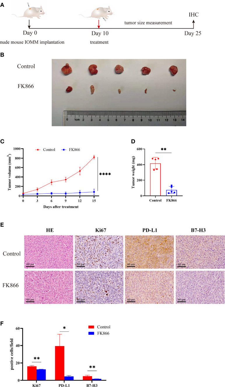 Figure 6