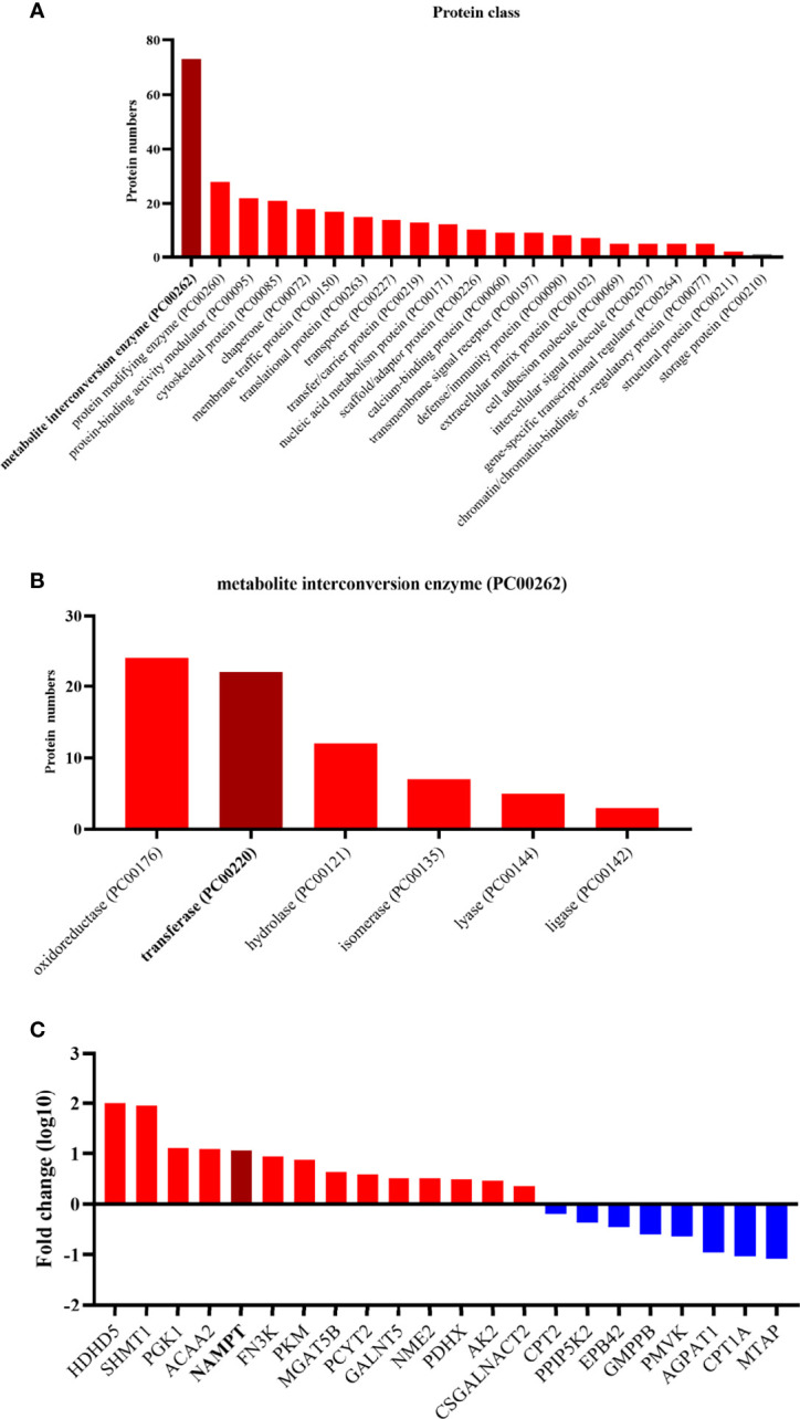 Figure 2