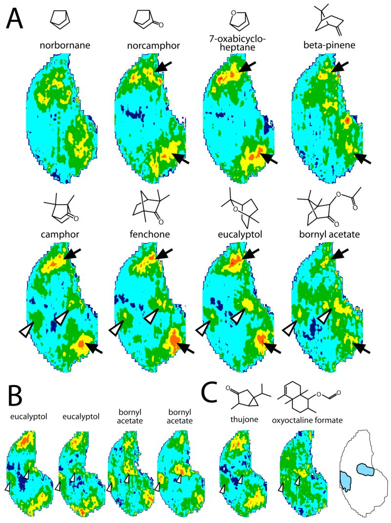 Fig. 3