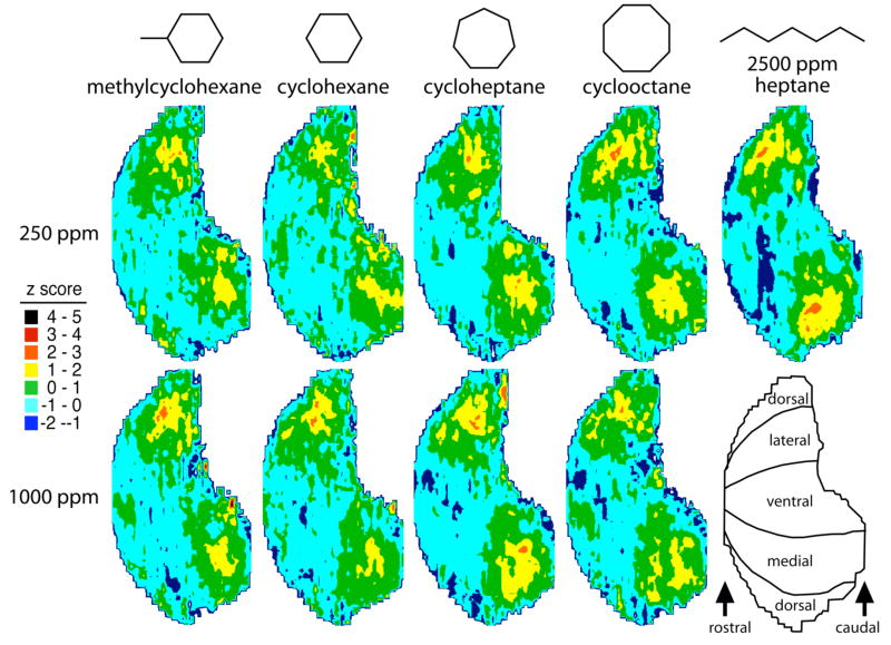 Fig. 1