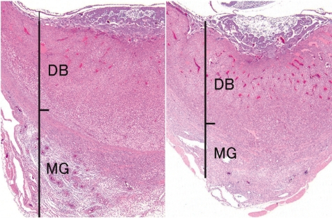 Fig. 28.