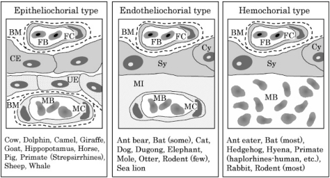 Fig.1.