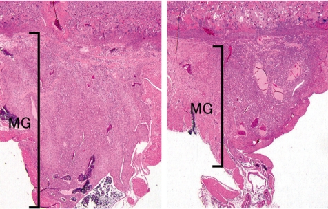 Fig. 27.