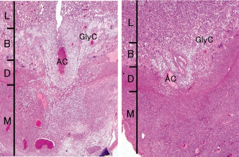 Fig. 26.