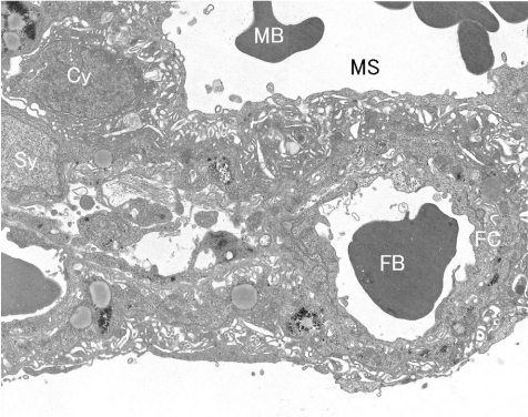 Fig. 7.