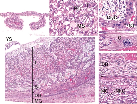 Fig. 6.