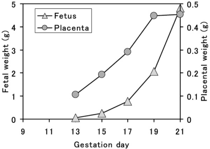 Fig. 11.