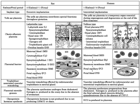 Fig. 10.