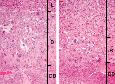 Fig. 25.