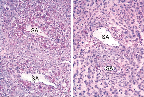 Fig. 29.