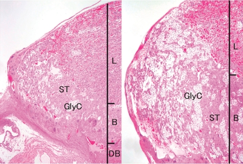 Fig. 13.