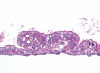 Fig. 30.