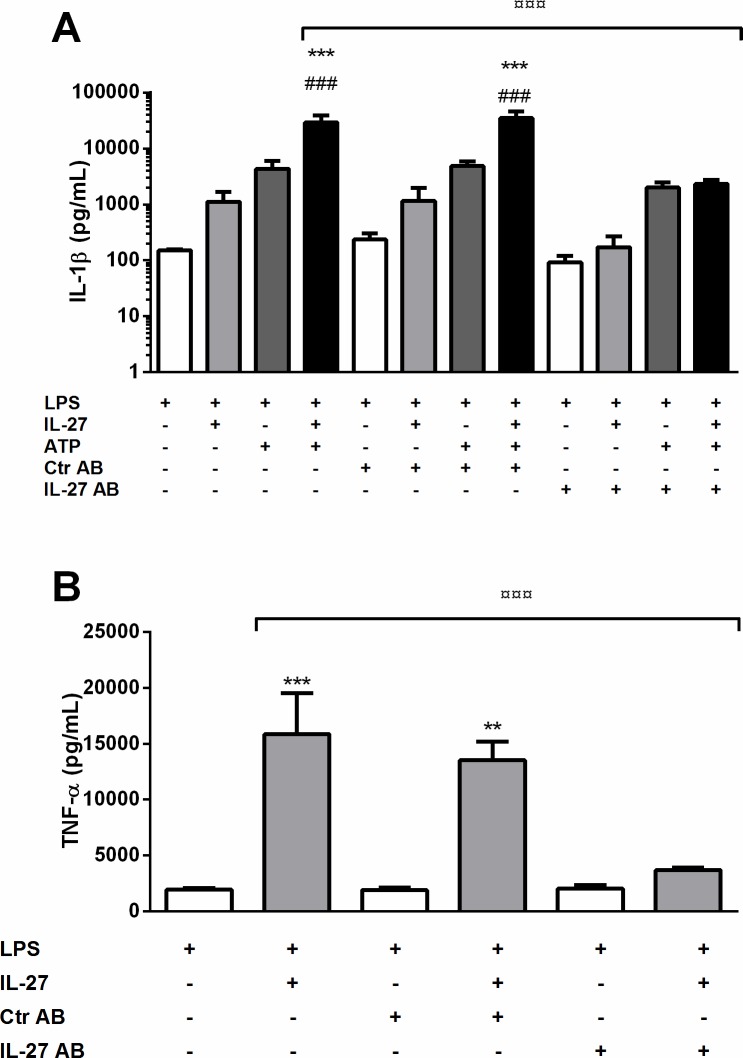 Fig 7