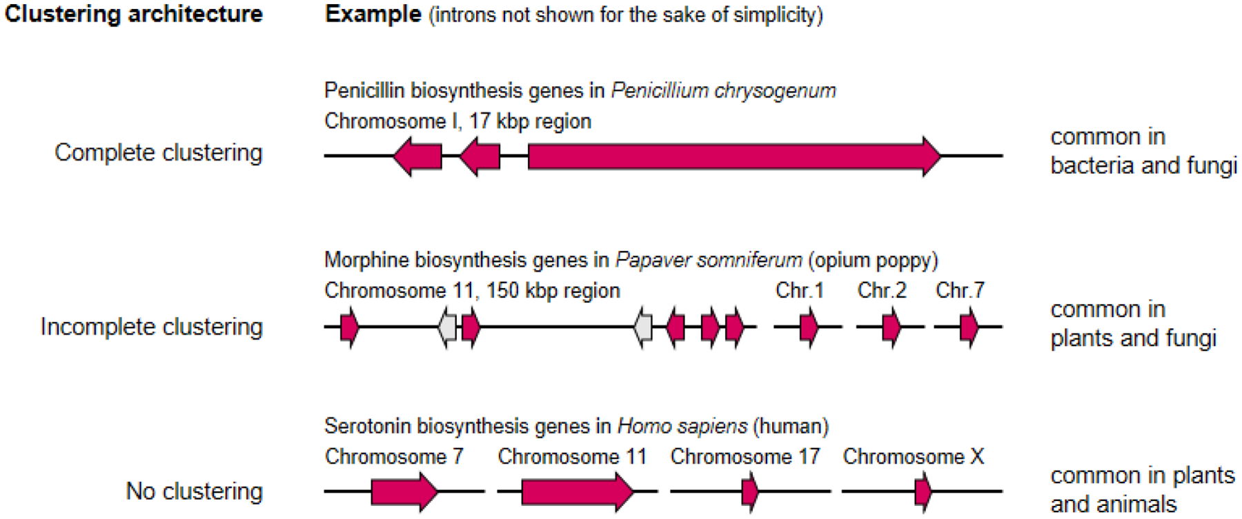 graphic file with name nihms-1721482-f0005.jpg