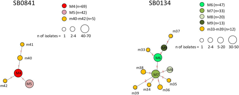 Figure 10