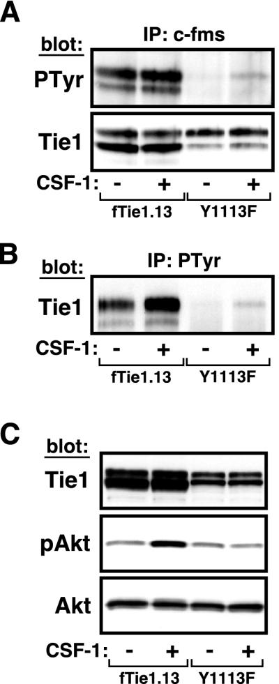 FIG. 7.