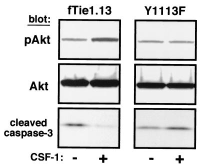 FIG. 8.