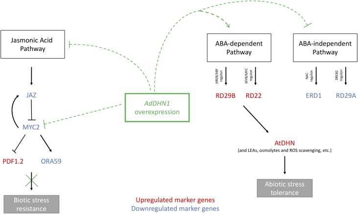 FIGURE 6