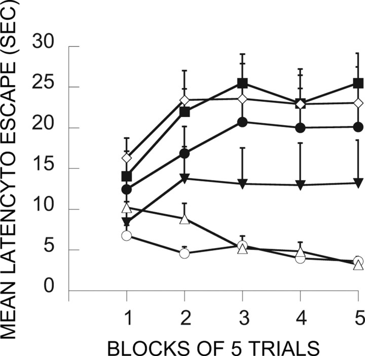 Figure 11.