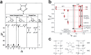 Fig. 13