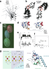 Fig. 9