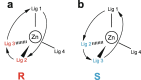 Fig. 8