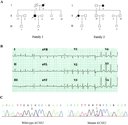 Figure  1