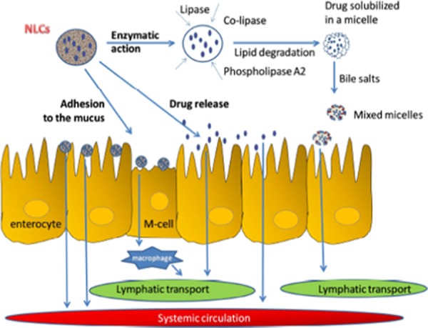 Figure 6