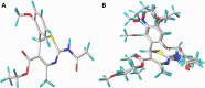 Fig. 1