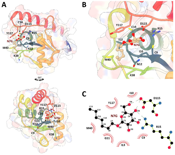 Figure 3