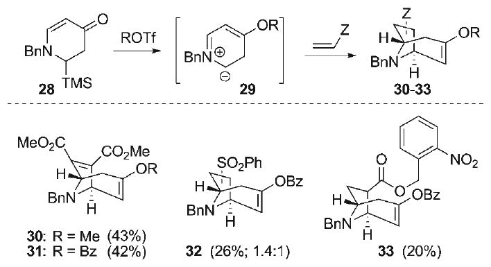 Scheme 5