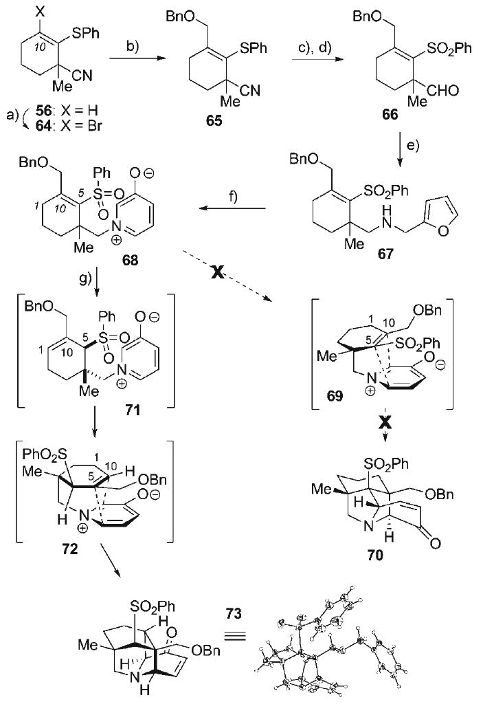 Scheme 10