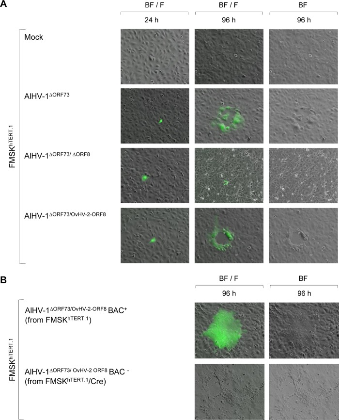 FIG 2 