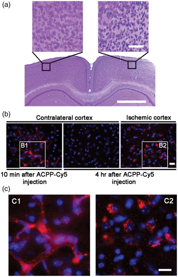 Figure 2.