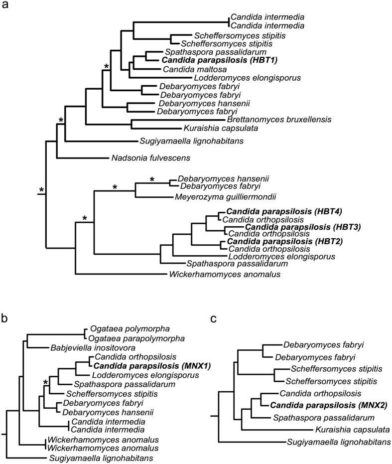 Figure 7