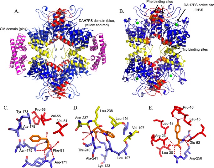 FIGURE 2.