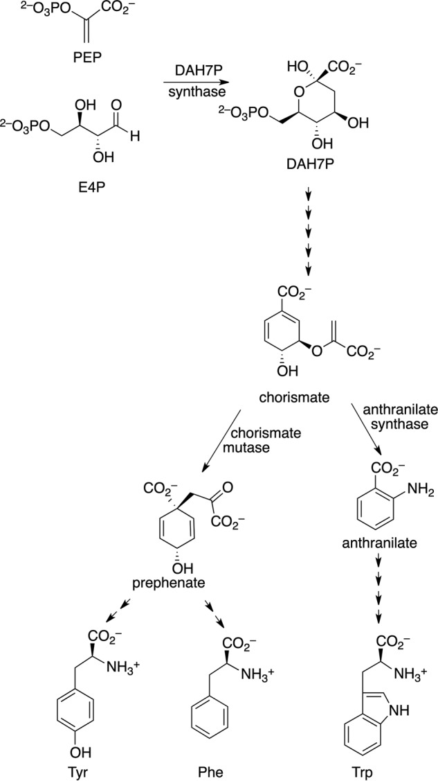 FIGURE 1.