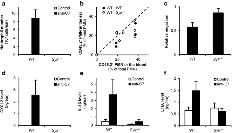 Figure 4