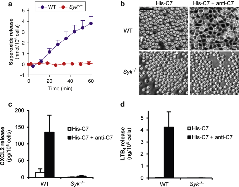 Figure 5