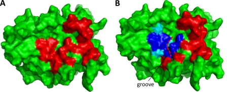 Fig. 3.