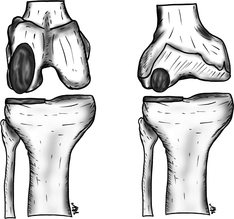 Fig. 3