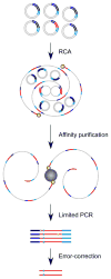 Fig. 9