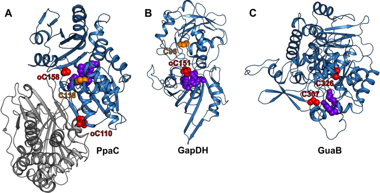 Fig. 11