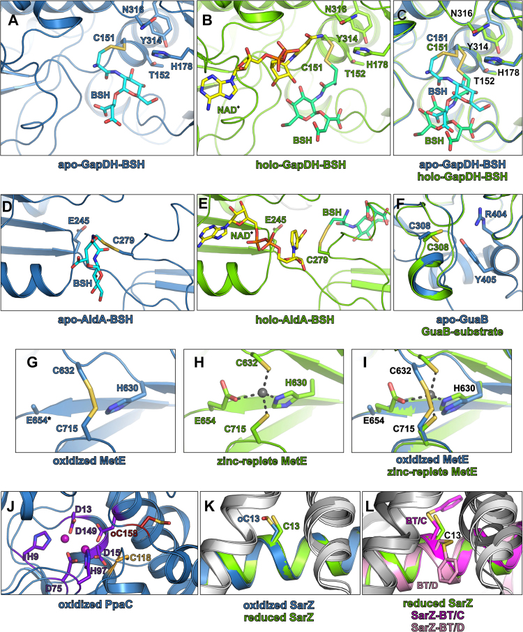 Fig. 10