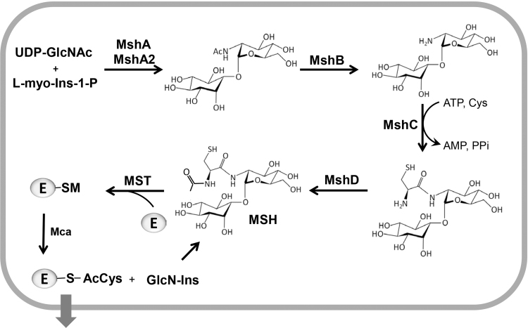 Fig. 3