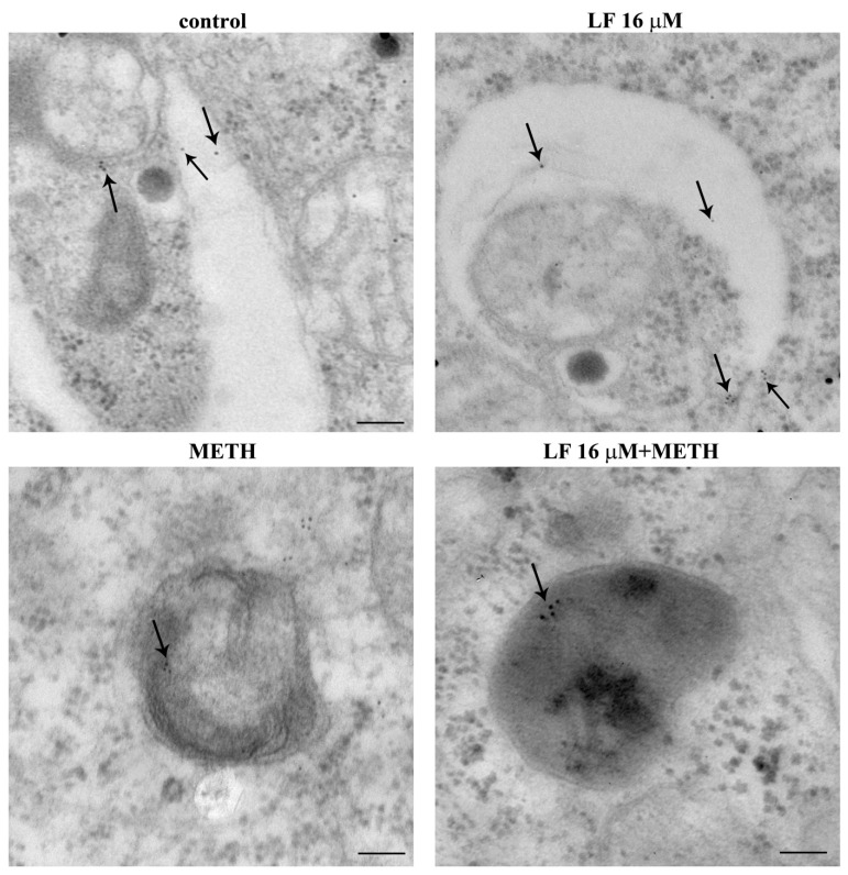 Figure 15