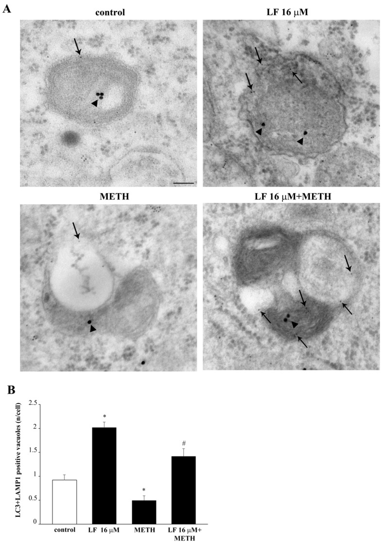 Figure 17