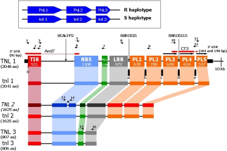 Figure 2.