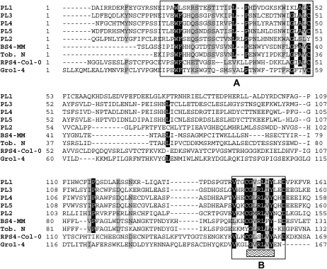 Figure 6.