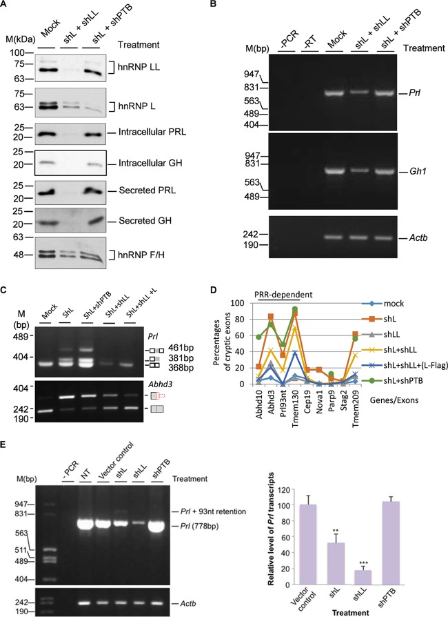 FIG 6